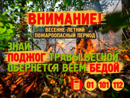 Пожарный режим в весенне-летний период Пожарный режим в весенне-летний период.